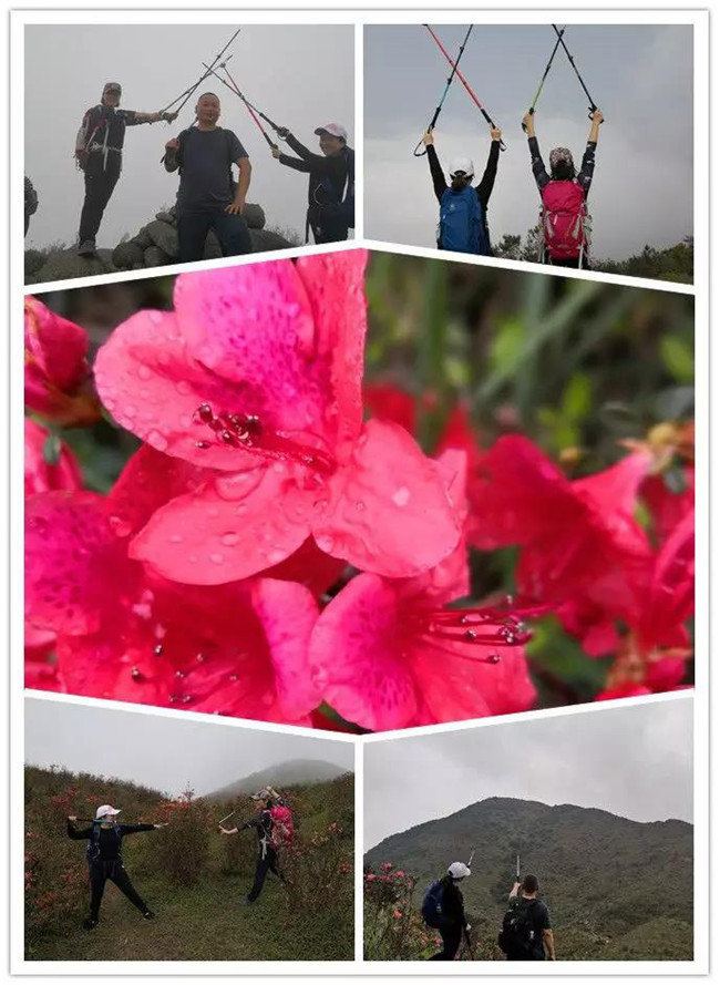 3月29日，云浮新興縣登天麓山&賞杜鵑花